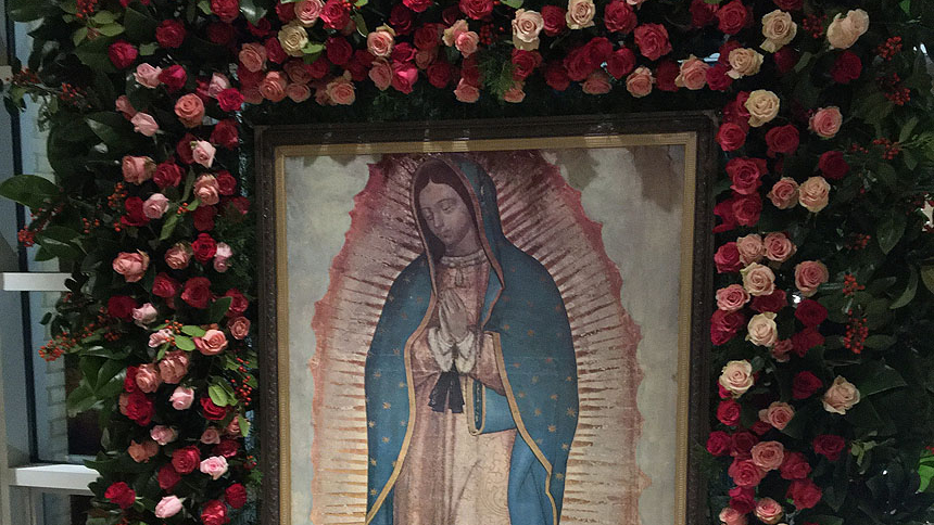 Faithful celebrate Our Lady of Guadalupe