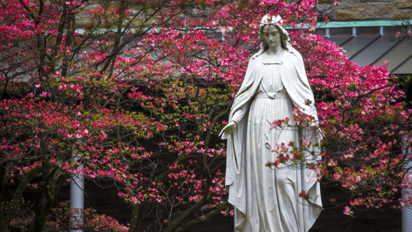 Bishops of U.S., Canada will consecrate their nations to Mary May 1