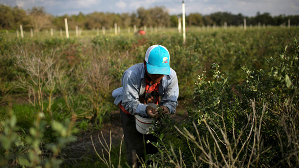 Care of the earth, concern for migrants are connected, cardinal says